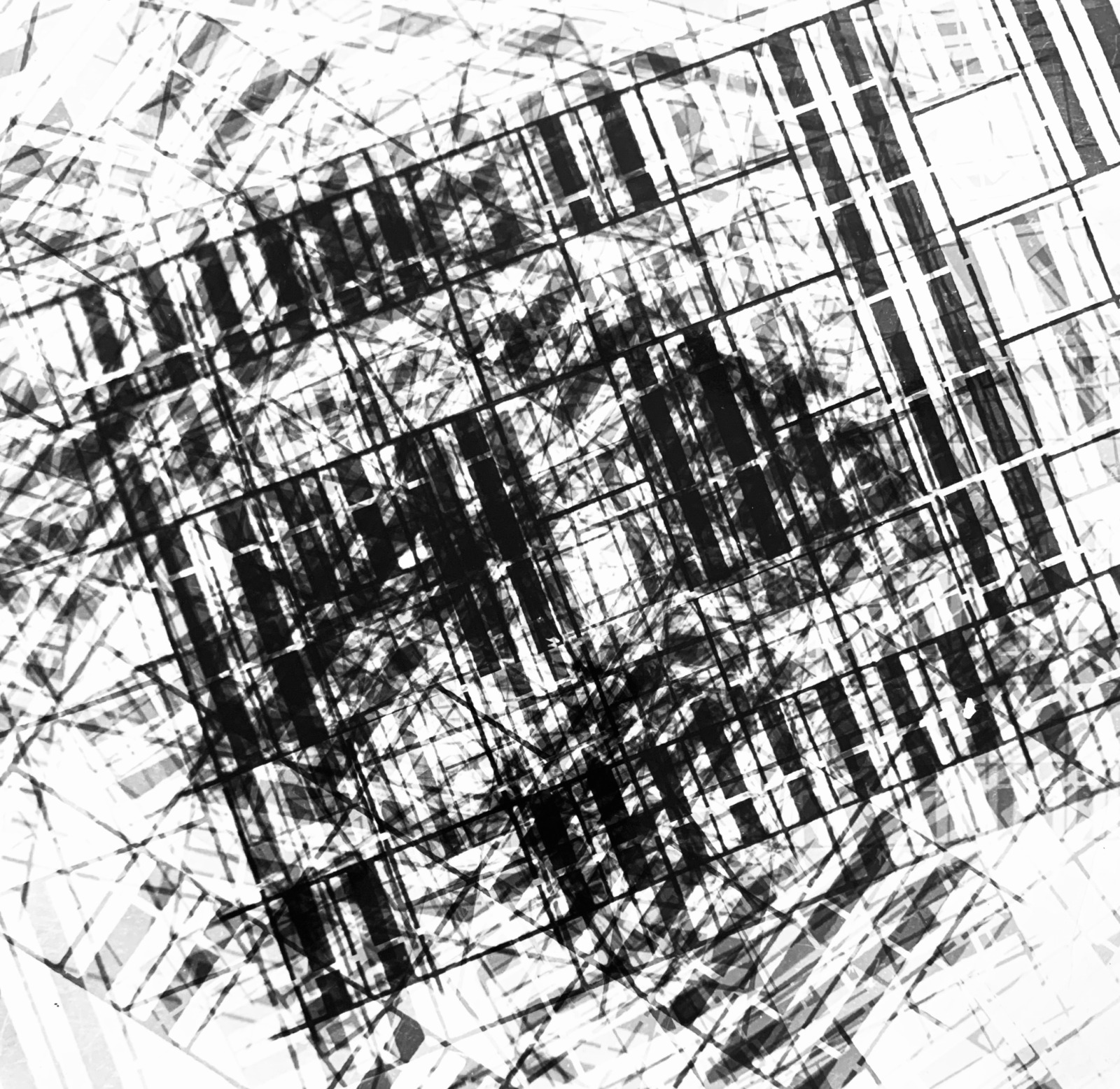 Roger Humbert, Untitled (Photogram #21), 1965
Photogram on Baryta paper (Agfa-Gevaert)
22 x 22 cm