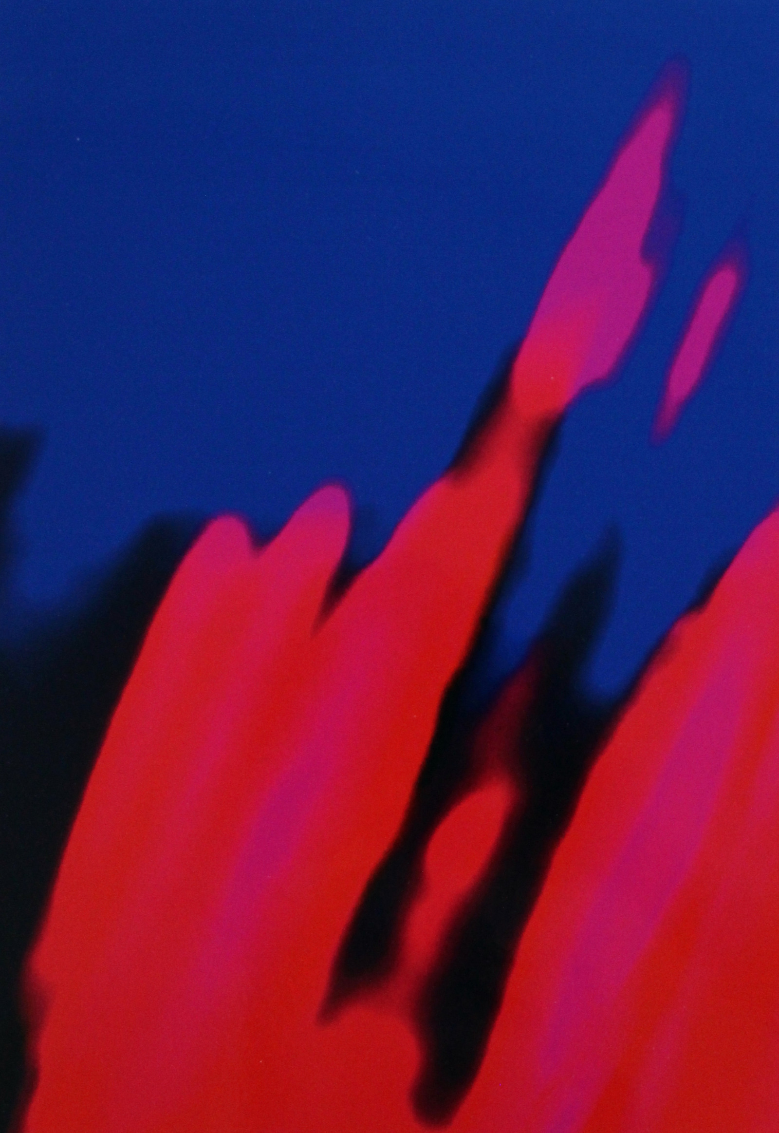 Roger Humbert, Untitled (QUANT #3), 2021
Fine Art Print
26,5 x 18,5 (image)
29,5 x 21 cm (sheet)
Unique