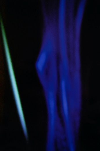 Roger Humbert, Untitled (Spectral Photography #21), 2017
Fine Art Print 
26,5 x 18,5 cm (image)
30 x 21 cm (sheet)