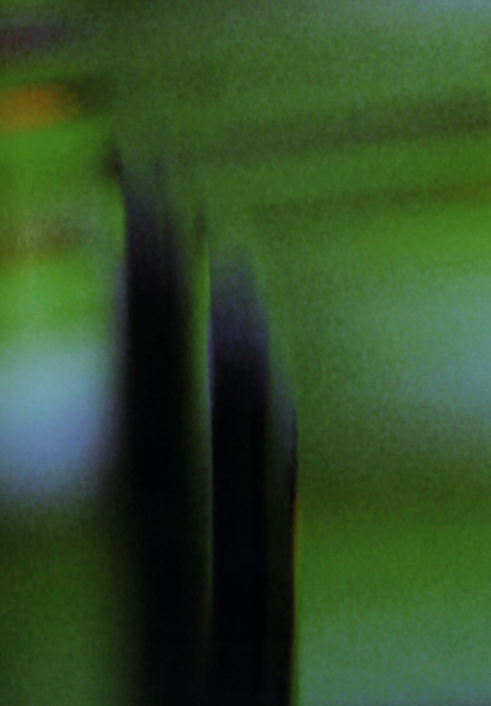 Roger Humbert, Untitled (Spectral Photography #7), 2015
Fine Art Print 
26,5 x 18,5 cm (image)
30 x 21 cm (sheet)