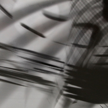 Roger Humbert, Untitled (Photogram #20), 1962