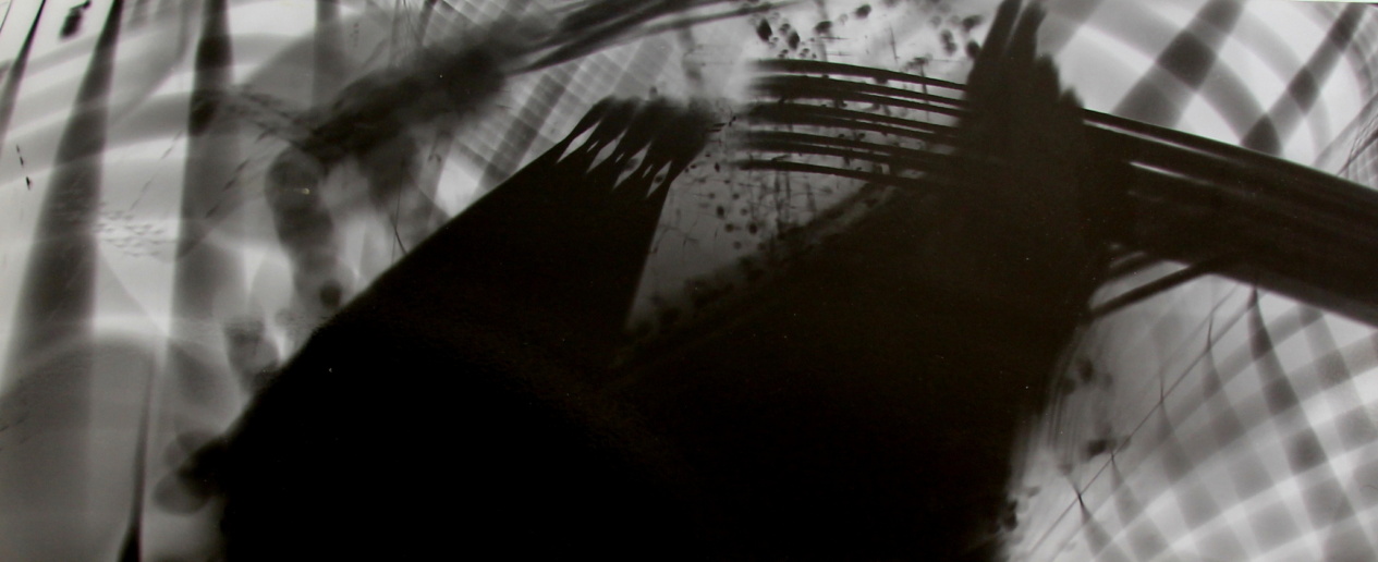 Roger Humbert, Untitled (Photogram #20), 1962
Photogram on Baryta paper, mounted on aluminum
21 x 49,5 cm
4 part work
Unique
