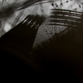 Roger Humbert, Untitled (Photogram #20), 1962