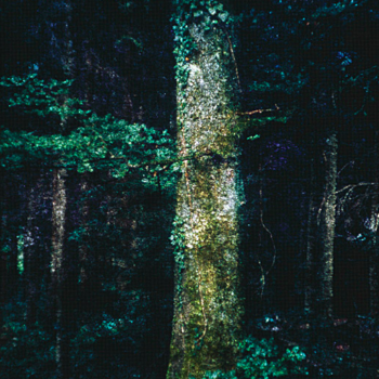 Romeo Vendrame, Arbor #10, 2013