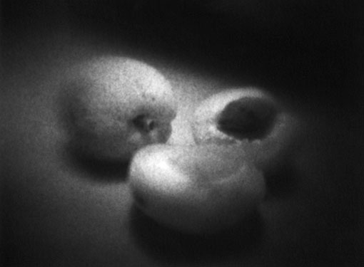 Camera Obscura 44, 1996
Portriga baryt Agfa (black-white) holorbromesilver paper
18,0 x 24,0 cm (photograph),
36,4 x 29,4 cm (sheet frame)
Edition of 5
