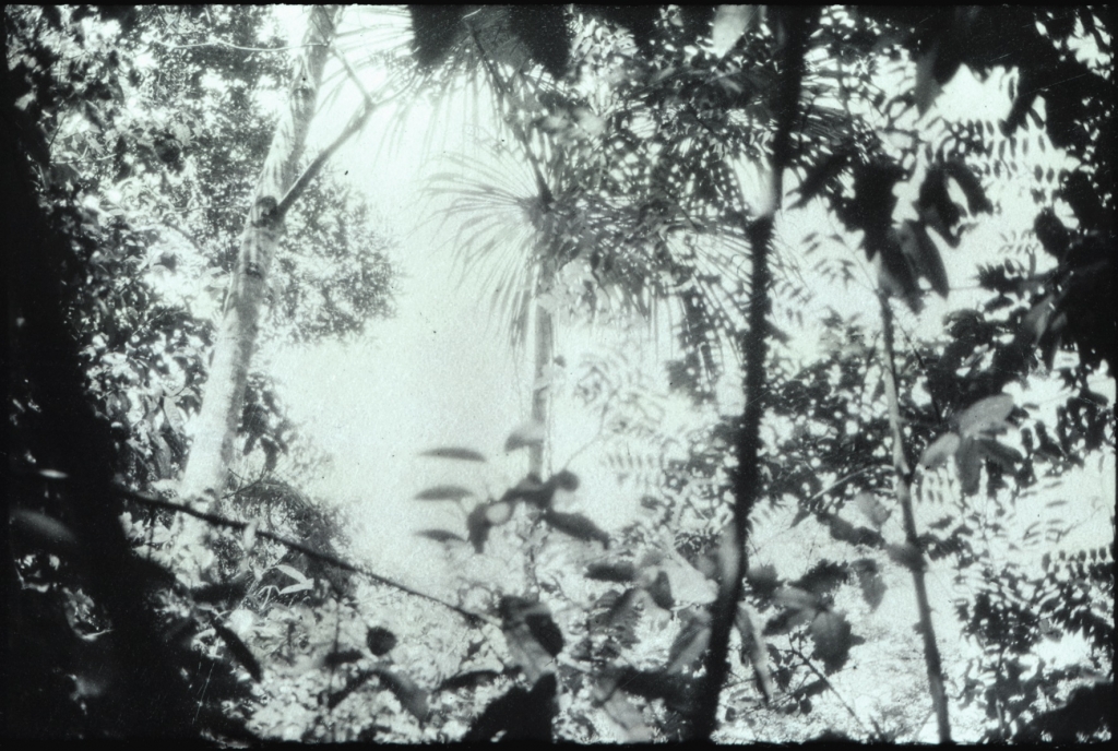 Luzia Simons, Humboldt ist niemals da gewesen (Landschaft 02), 2013
