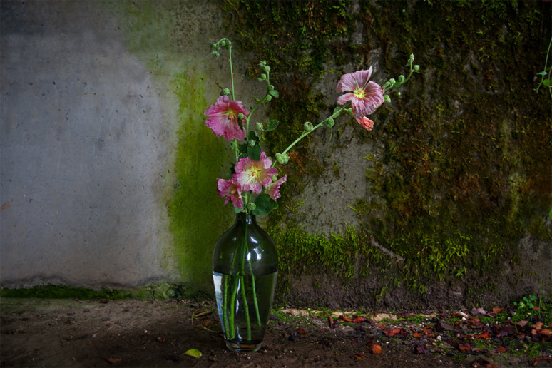 Sonja Maria Schobinger
Still Life No. 2, 2017
Fine Art Pigment Print on Hahnemühle Photo Rag, 80 x 118.5 cm, Ed. 1/5 + 1 AP, Frame: Oak, museum glass
