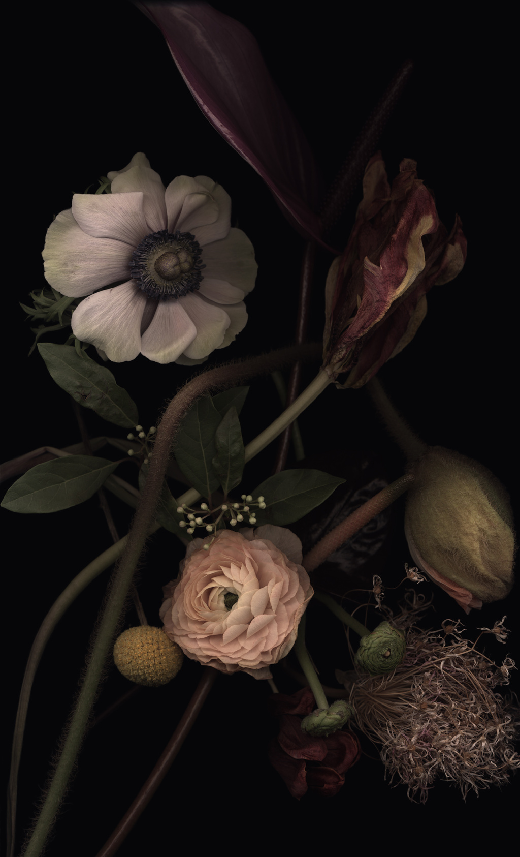 Luzia Simons, Stockage 140, 2020
Lightjet Diasec
40 x 30 cm
Edition of 15 + 5 AP