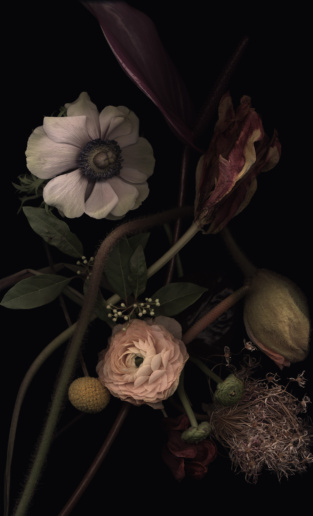 Luzia Simons, Stockage 140, 2020
Lightjet Diasec
40 x 30 cm
Edition of 15 + 5 AP