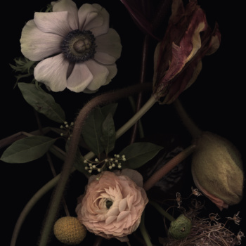 Luzia Simons, Stockage 140, 2020