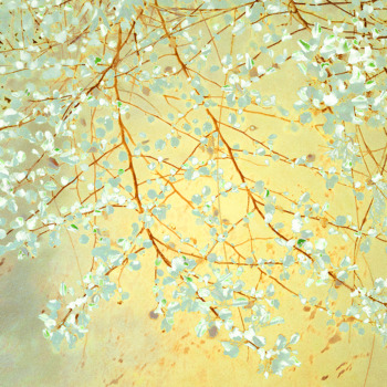 Sonja Maria Schobinger