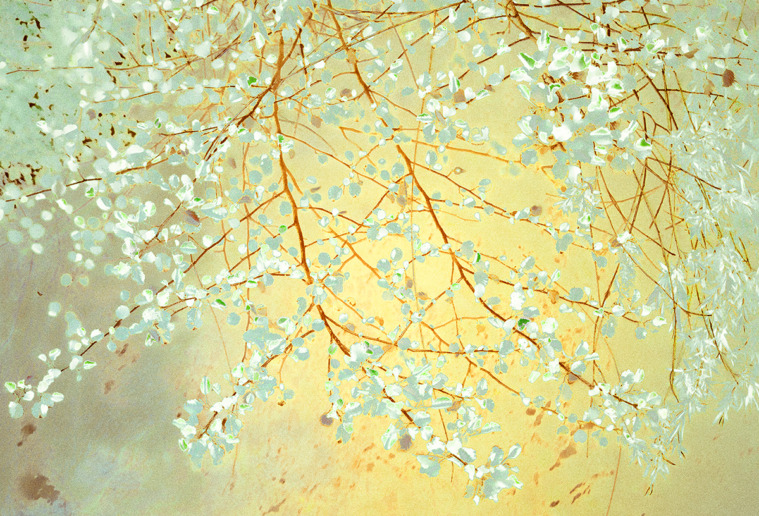 Sonja Maria Schobinger
Spring Celebration 2023
Ed. 1/5 + 1 AP
93 x 134 cm
Archival Pigment Print Hahnemühle Photo Rag, 
Frame: Oak, museum glass
