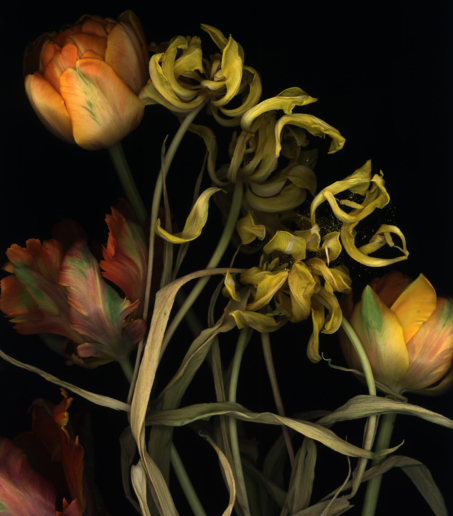 Luzia Simons, Stockage 65, 2009
Pigmentjet on handmade paper
140 x 100 cm
Edition of 6 + 2 AP