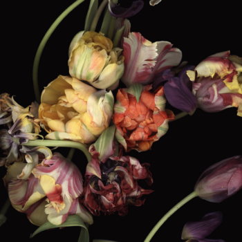 Luzia Simons, Stockage 100, 2011
