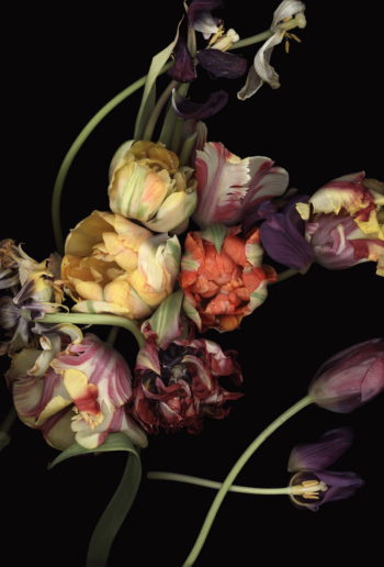 Luzia Simons, Stockage 100, 2011
Pigmentjet on handmade paper
193 x 121 cm / Edition of 6 + 2 AP
140 x 100 cm / Edition of 6 + 2 AP