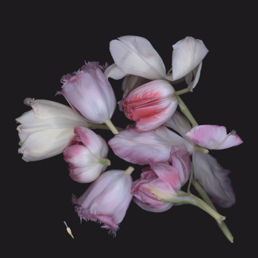 Luzia Simons, Stockage 101, 2010
Lightjet Diasec
100 x 100 cm
Edition of 6 + 2 AP