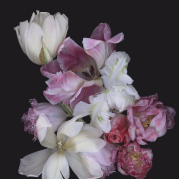 Luzia Simons, Stockage 104, 2010