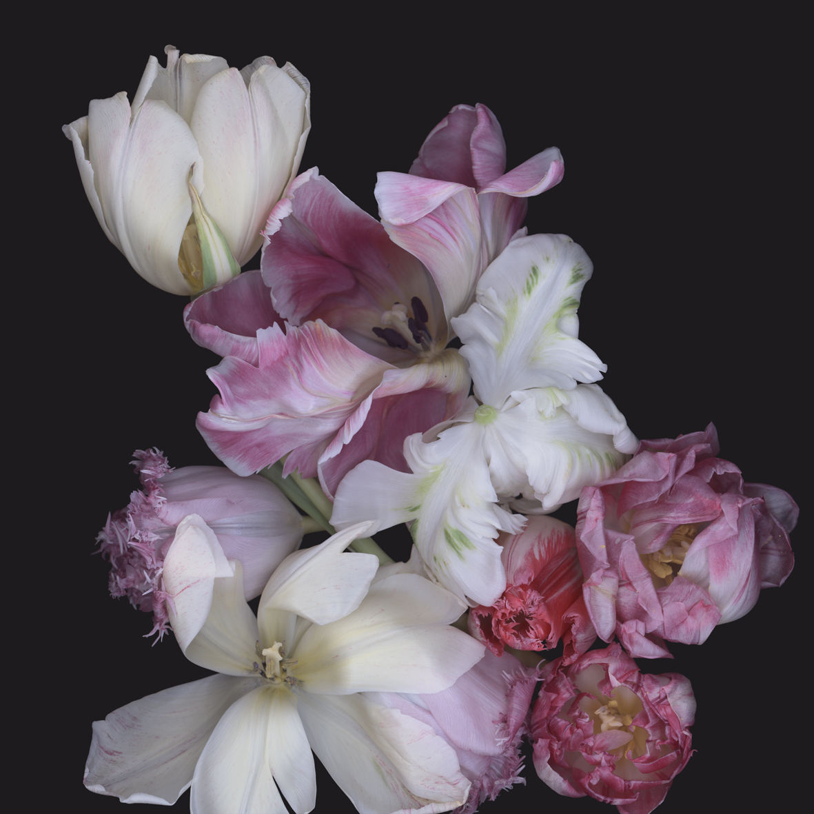 Luzia Simons, Stockage 104, 2010
Lightjet Diasec
100 x 100 cm
Edition of 6 + 2 AP
