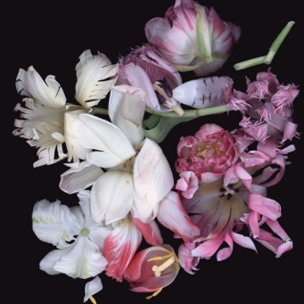 Luzia Simons, Stockage 108, 2010