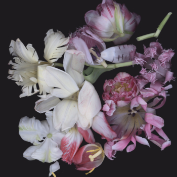 Luzia Simons, Stockage 108, 2010