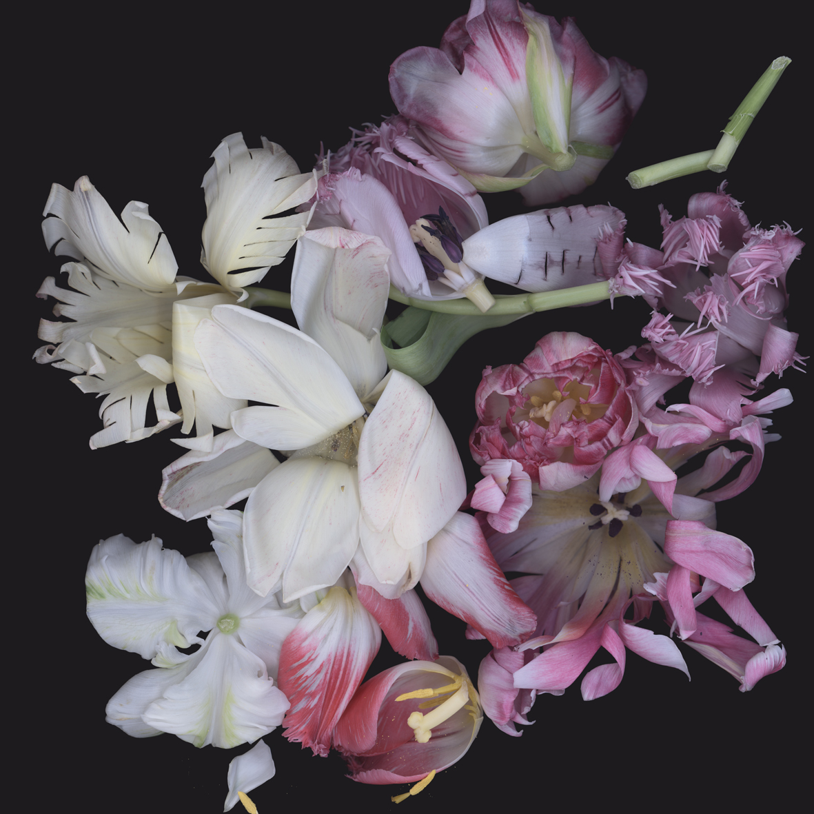 Luzia Simons, Stockage 108, 2010
Lightjet Diasec
100 x 100 cm
Edition of 6 + 2 AP
