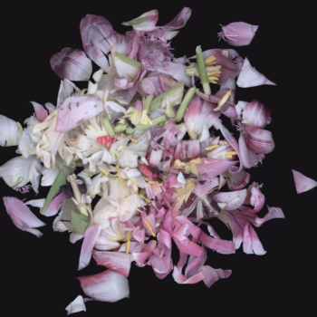 Luzia Simons, Stockage 109, 2010