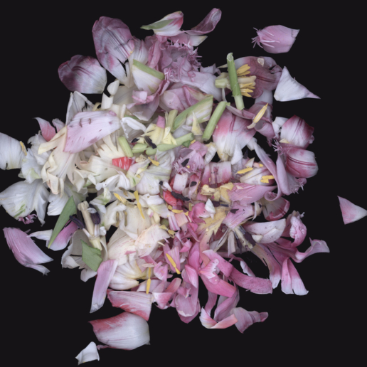 Luzia Simons, Stockage 109, 2010
Lightjet Diasec
100 x 100 cm
Edition of 6 + 2 AP