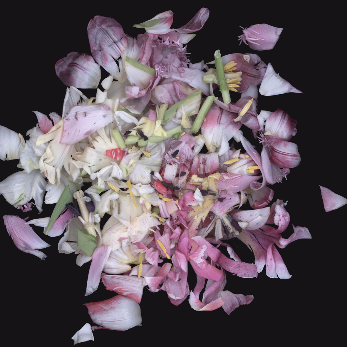 Luzia Simons, Stockage 109, 2010
Lightjet Diasec
100 x 100 cm
Edition of 6 + 2 AP