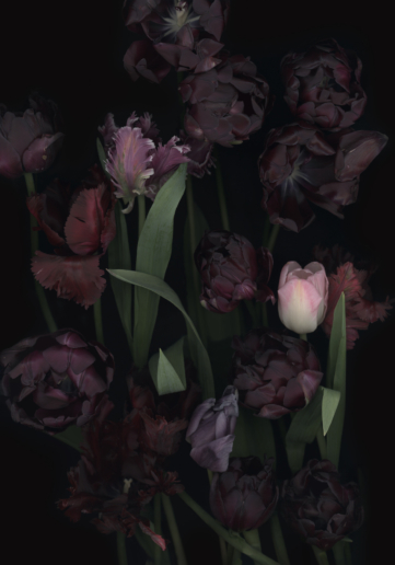 Luzia Simons, Stockage 111, 2011
Lightjet Diasec
180 x 126 cm
Edition of 5 + 2 AP