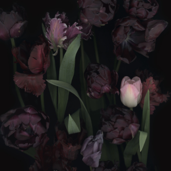 Luzia Simons, Stockage 111, 2011