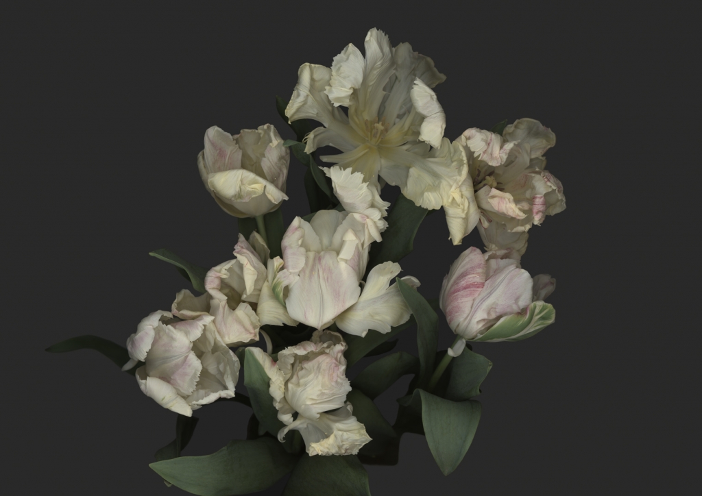 Luzia Simons, Stockage 132, 2012
C-Print Diasec 
60 x 84 cm
Edition of 15 + 2 AP