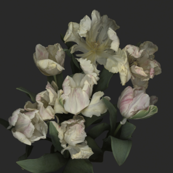 Luzia Simons, Stockage 132, 2012