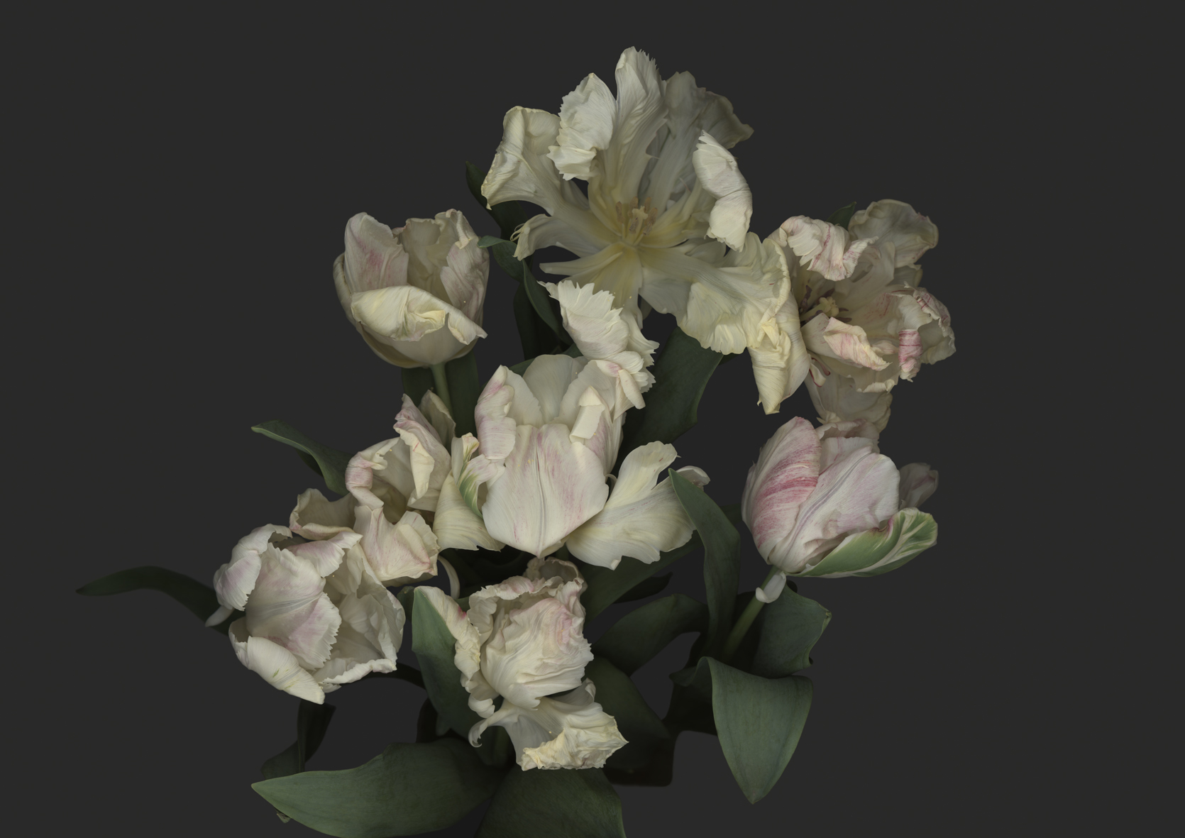 Luzia Simons, Stockage 132, 2012
C-Print Diasec 
60 x 84 cm
Edition of 15 + 2 AP