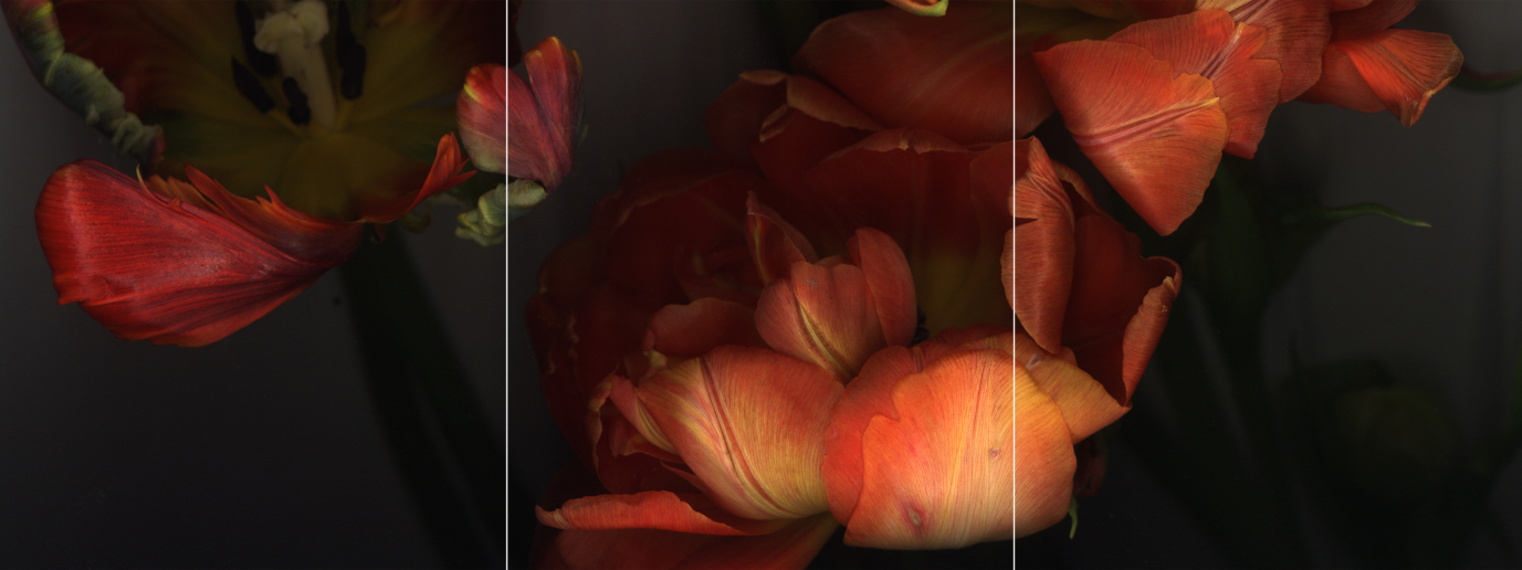 Luzia Simons, Stockage 13, 2005
Lightjet Diasec
120 x 321 cm (tryptichon)
Edition of 6 + 2 AP