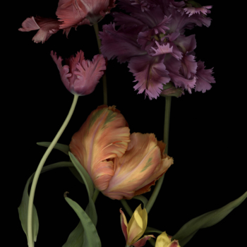 Luzia Simons, Stockage 148, 2014