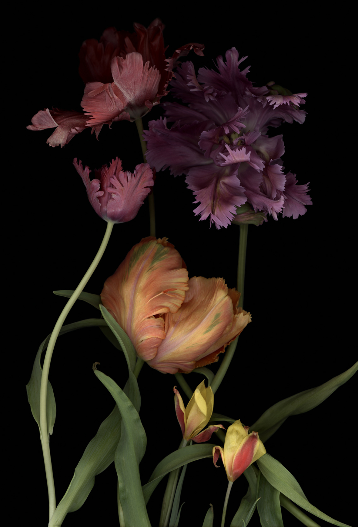 Luzia Simons, Stockage 148, 2014
Pigment Print on handmade paper
140  x 100  cm 
Edition of 6 + 2 AP
