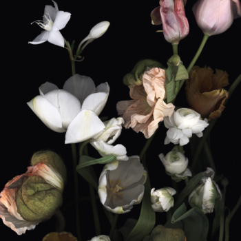 Luzia Simons, Stockage 172, 2017