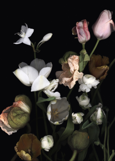 Luzia Simons, Stockage 172, 2017
Lightjet Diasec
70 x 50 cm
Edition of 15 + 1 AP
