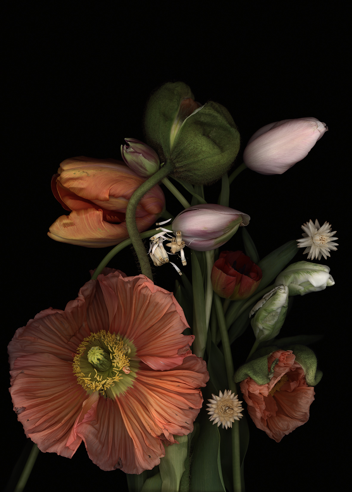 Luzia Simons, Stockage 178, 2017
Lightjet Diasec
70 x 50 cm
Edition of 15 + 1 AP