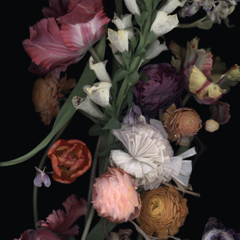 Luzia Simons, Stockage 185, 2019