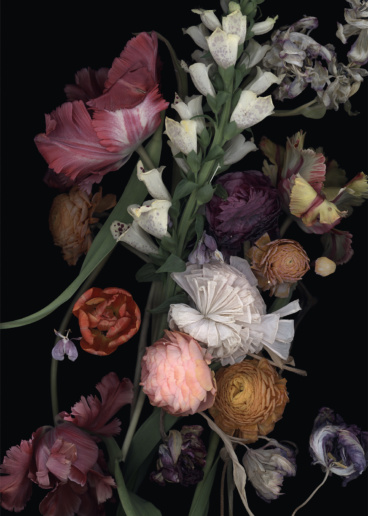 Luzia Simons, Stockage 185, 2019
Lightjet Diasec
70 x 50 cm
Edition of 15 + 1 AP