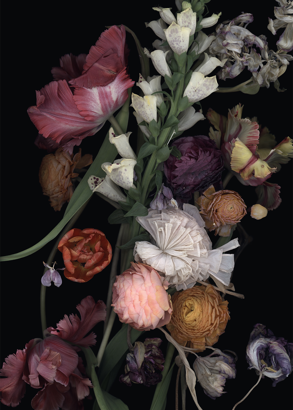 Luzia Simons, Stockage 185, 2019
Lightjet Aludibond
70 x 50 cm
Edition of 15 + 1 AP
