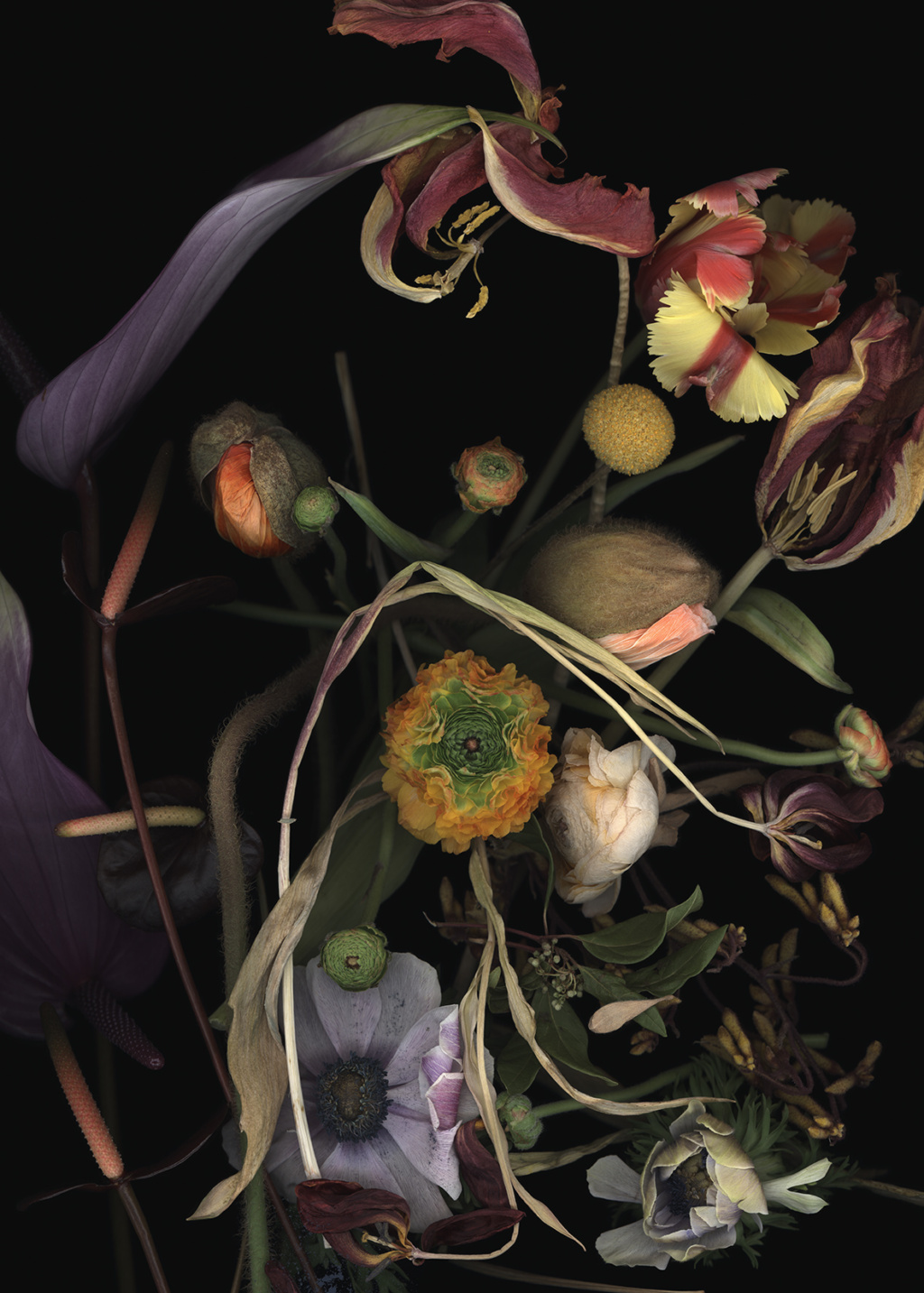 Luzia Simons, Stockage 186, 2020
Scanogramm, Lightjet Print/Diasec
70 x 50 cm 
Edition of 15 + 1 AP
