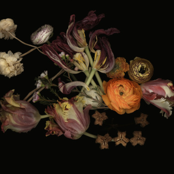 Luzia Simons, Stockage 187, 2020