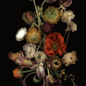 Luzia Simons, Stockage 188, 2020