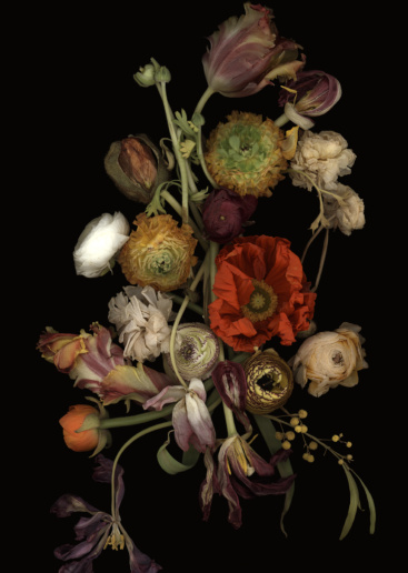 Luzia Simons, Stockage 188, 2020
Lighjet Aludibond
200 x 142 cm
Edition of 6 + 1 AP