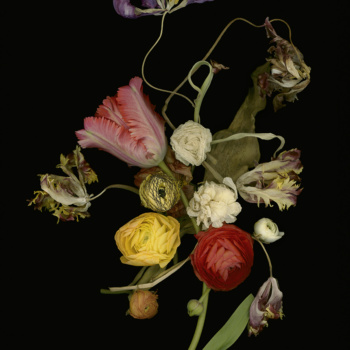 Luzia Simons, Stockage 200, 2020
