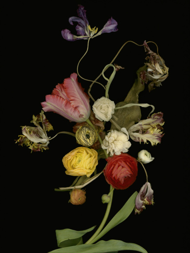 Luzia Simons, Stockage 200, 2020
Lightjet Diasec
40 x 30 cm 
Edition of 25 + 5 AP