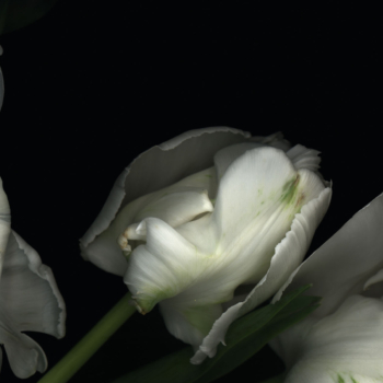 Luzia Simons, Stockage 68, 2009