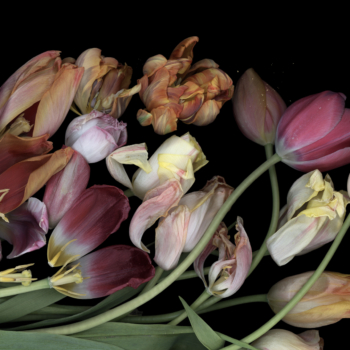 Luzia Simons, Stockage 76, 2009
